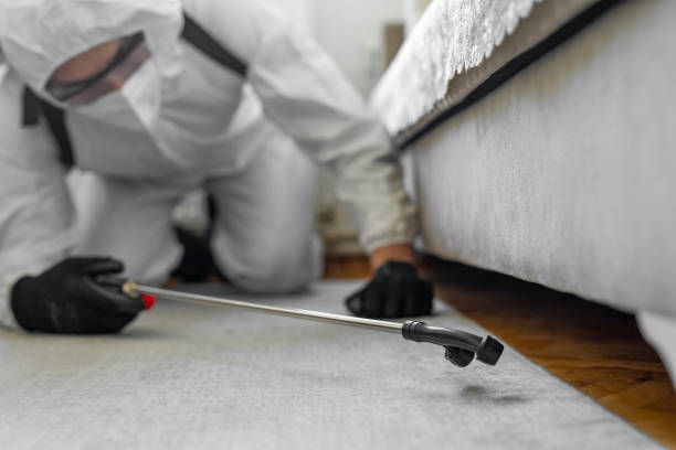 Professional Bed Bug Control technician working in Bound Brook, NJ