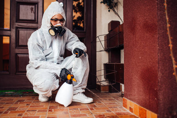 Reliable Bed Bug Control contractor in Bound Brook, NJ by Nex Pest Control